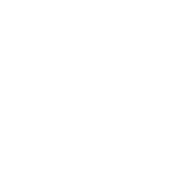 nyuszi fehér icon